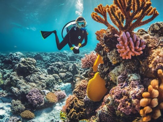Diving and Snorkeling - AI travel suggestions
