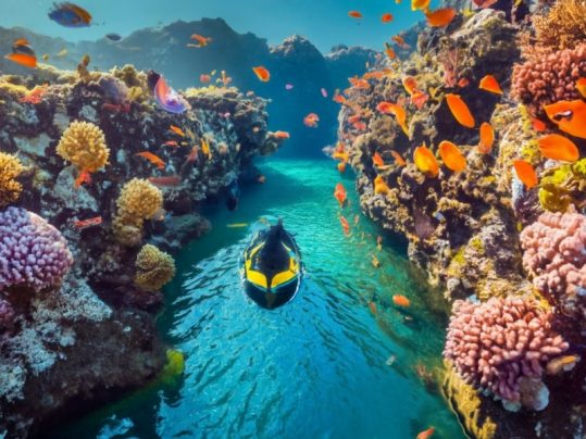 Diving and Snorkeling - Best AI travel planning website